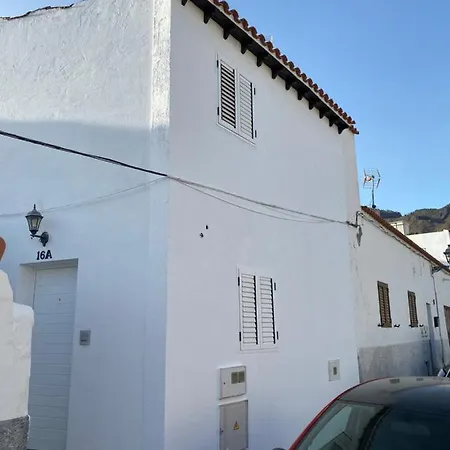 Palmera 16 * Santa Lucia