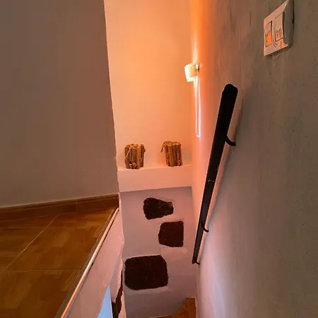 Palmera 16 Santa Lucia