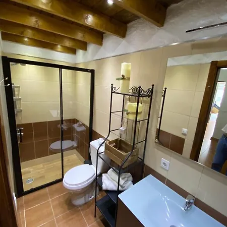 Palmera 16 * Santa Lucia