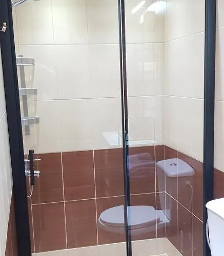 Palmera 16 * Santa Lucia