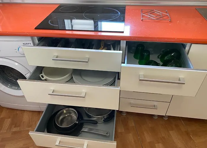 Palmera 16 Santa Lucia