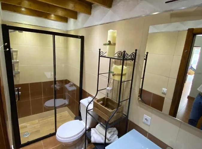 Palmera 16 * Santa Lucia