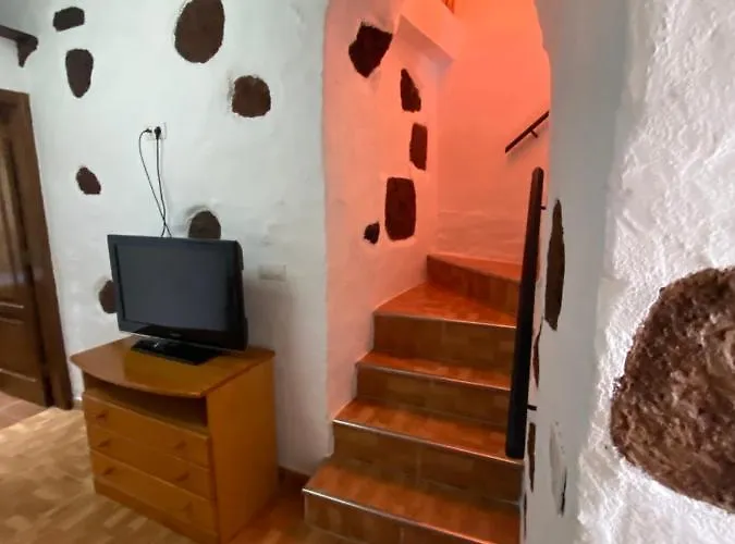 Palmera 16 Santa Lucia